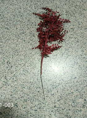 仿真红色檀叶橄榄叶玉兰叶带果苹果叶树木装饰叶子长枝绿植装饰