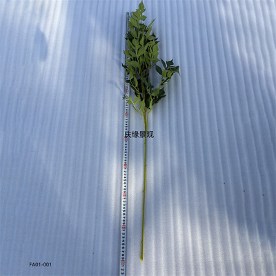 仿真马醉木球大丽花叶假叶子人造树枝叶绿植园林景观装饰造景