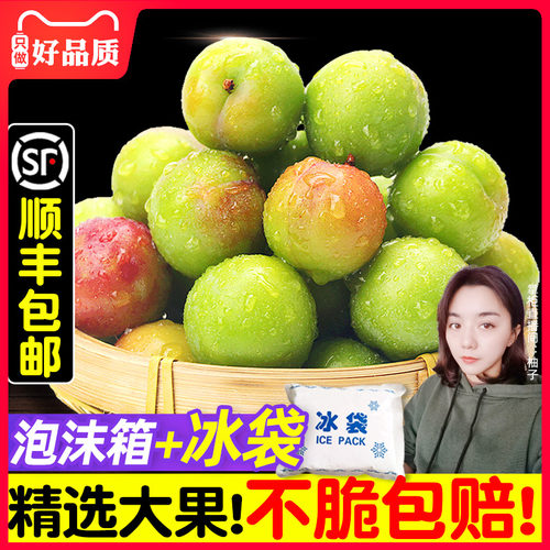 顺丰李子酸脆怕酸不买！三月李子