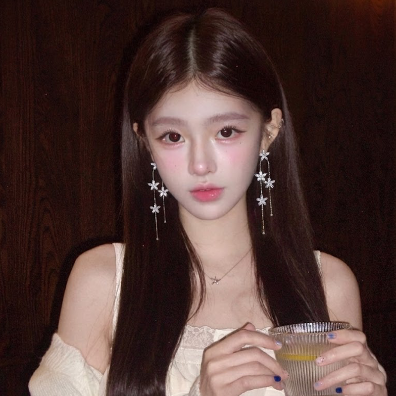 冬日恋书~闪锆花朵流苏耳环女高级感轻奢小众设计耳饰巨好看耳坠