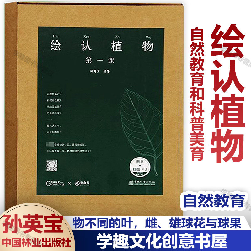 【自然教育教学】绘认植物第 课 一本孩子们认识自然了解植物的工具书 800幅手绘科学画 一本科学绘画爱好者的实操宝典