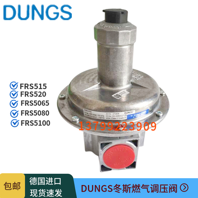DUNGS燃气调压阀FRS520