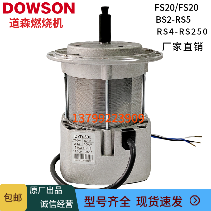 道森燃烧机电机RS44RS70各型号