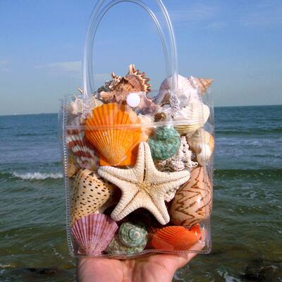 Аквариум, игрушка, морская звезда, подарок на день рождения