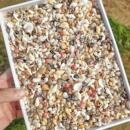 天然海螺贝壳手工diy材料漂流瓶贝壳收纳盒相框装 饰迷你小海螺