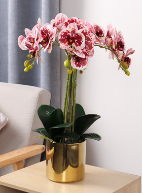 PU手感蝴蝶兰高仿真花套装摆件家居假花室内茶几摆放盆栽装饰品