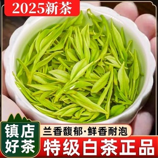安吉产白茶2025新茶明前正宗小嫩芽春茶兰花香型特级珍稀白茶茶叶