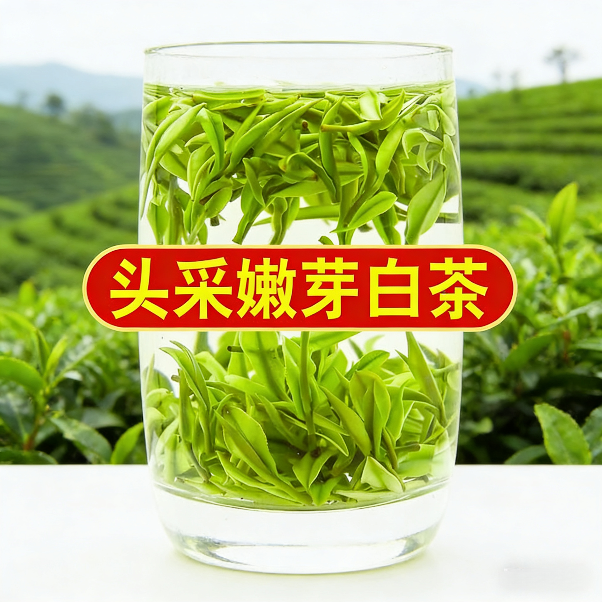 安吉白茶【一斤】2026年新茶特级白茶珍稀绿茶春茶茶叶自己喝
