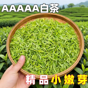 正宗安吉产白茶2025年新茶明前特级高山兰花香型安吉珍稀白茶茶叶