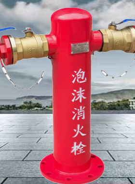 地上式室内消火栓PSS100-65室外泡沫消防栓