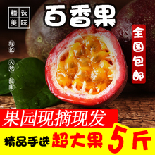 云南特级大果当季3斤级整箱百香果1