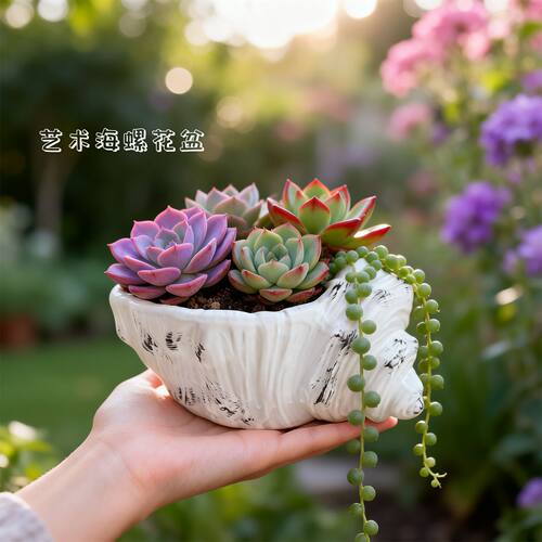 艺术海螺花简约盆阳台庭院花盆
