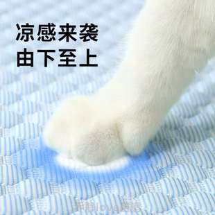 猫宠物夏天凉席狗窝狗狗垫子窝冰垫宠物冰豆% 冰丝散热降温夏季