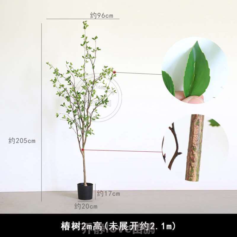 artificial仿真植物植物实物绿植实拍椿树!仿真plant北欧盆景