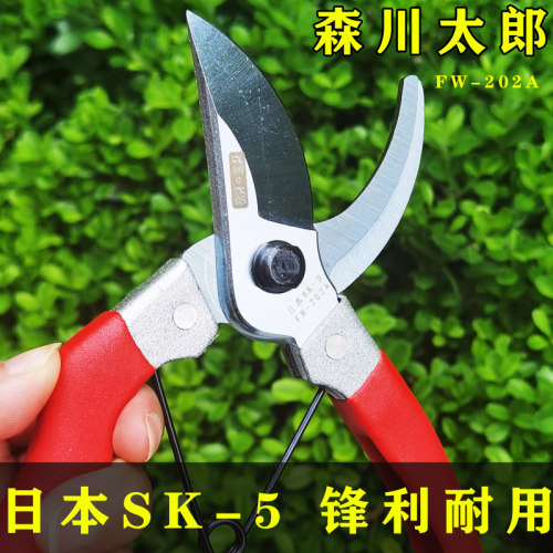 日本森川太郎SK-5修枝剪 园林剪刀工具修枝剪园艺剪果树剪手枝剪