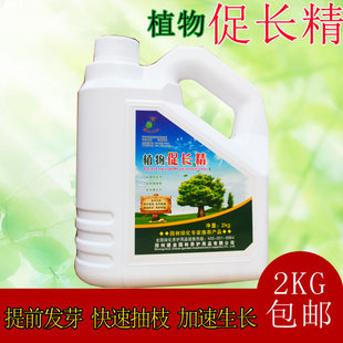 苗木增粗植物营养液花卉速长精增高增绿快长精生长素植物调节剂