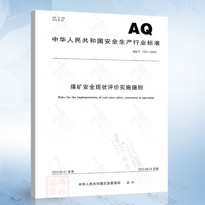 AQ/T 1121-2023 煤矿安全现状评价实施细则