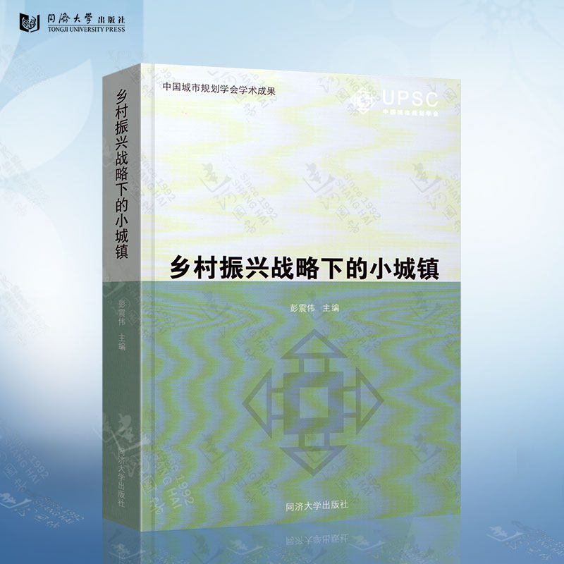 乡村振兴战略下的小城镇 彭震伟 中国建筑工业出版社