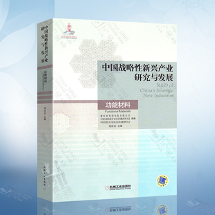 功能材料 刘庆宾 我国产业状况 发展策略书籍 中国战略性新兴产业研究与发展 优势和国外技术发展前沿 提出发展方向