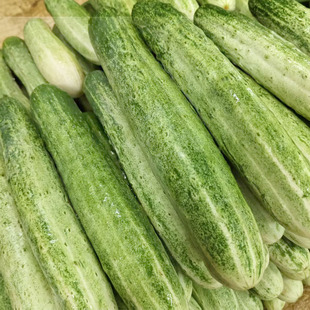 新鲜老品种黄瓜湖南现摘现发青花土黄瓜时令蔬菜孕妇生吃燕白黄瓜