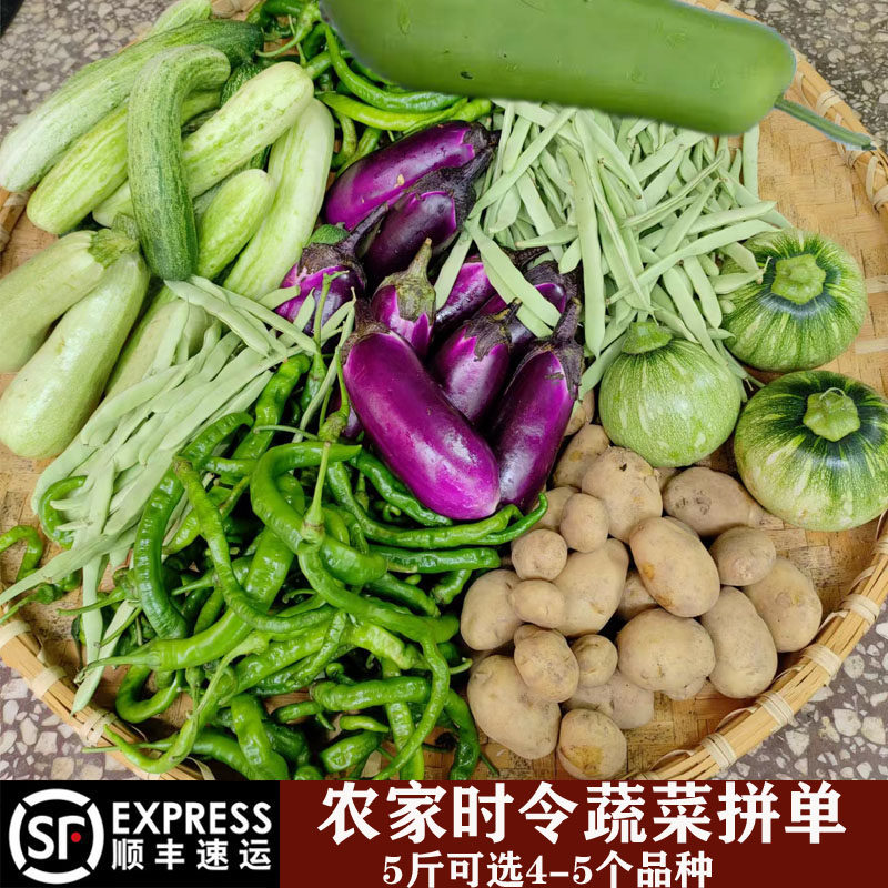 【顺丰包邮】农家蔬菜湖南新鲜拼单混搭辣椒茄子黄瓜丝瓜南瓜瓜果