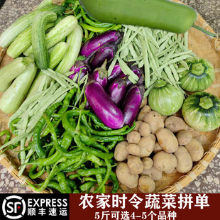 【顺丰包邮】农家蔬菜湖南新鲜拼单混搭辣椒茄子黄瓜丝瓜南瓜瓜果
