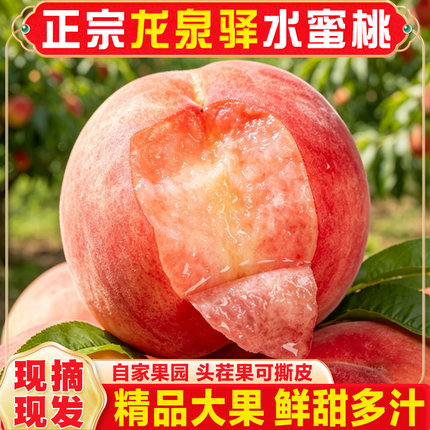 正宗四川成都龙泉驿水蜜桃现摘新鲜整箱5斤白凤桃子当季水果超甜