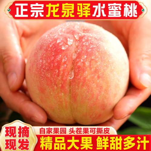 正宗龙泉驿水蜜桃超甜多汁可撕皮