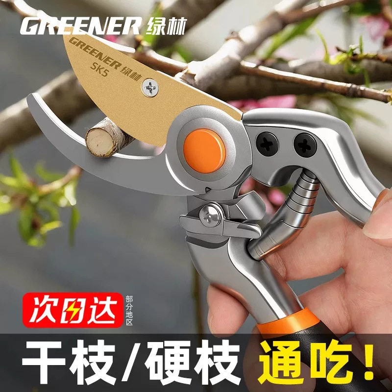 绿林修剪树枝剪刀剪枝专用枝剪园艺修花花剪园林剪刀修枝剪果树图片