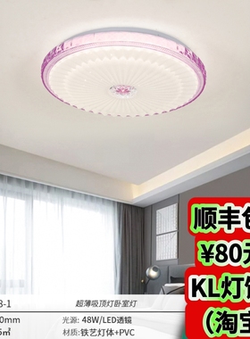 2878v/2864v/29146/29165新款LED吸顶灯简约现代卧室书房阳台灯