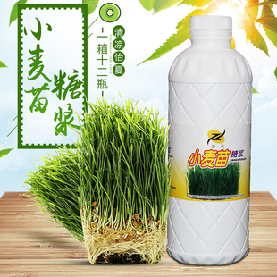 廉庆小麦苗糖浆小麦草汁浓缩果汁饮料1200g 餐饮奶茶咖啡原料