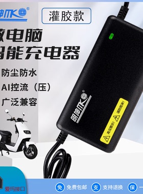 爱玛电车适用明坤充电器48V12AH60V3A72V20A铅酸电瓶防水充满自停