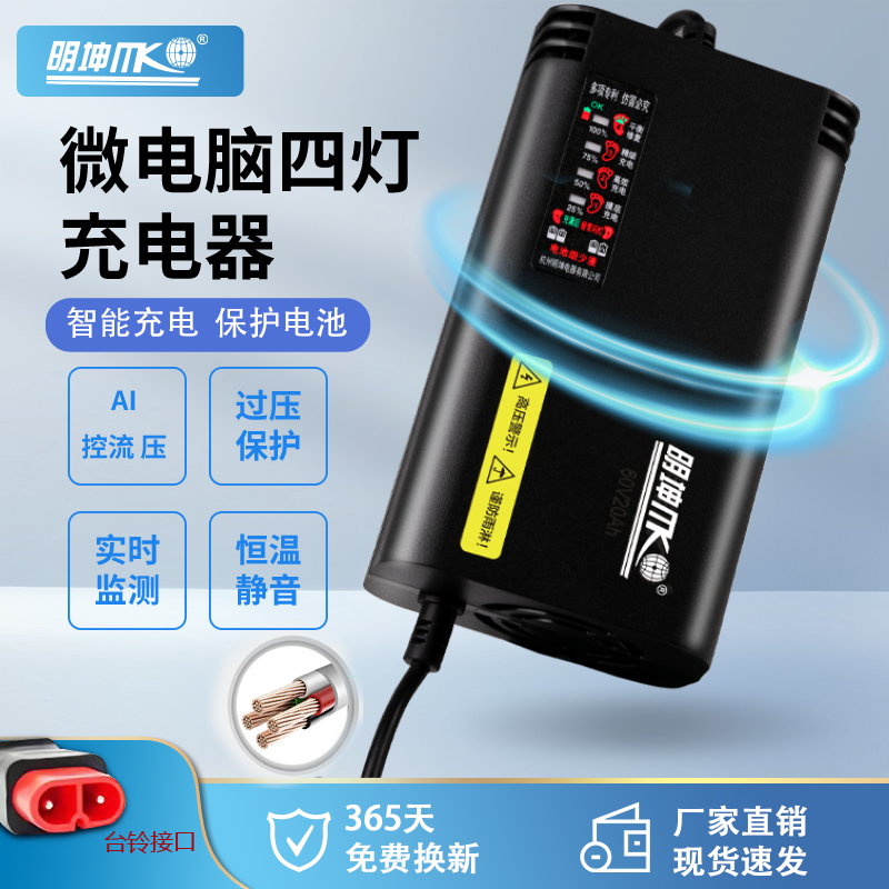 适用台铃雅迪九号绿源铅酸充电器