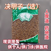 安国中药材市场 精选国产决明子大粒决明子枕芯填充做枕头专用