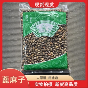 安国中药材市场批 发蓖麻子蓖麻籽红大麻子蓖麻仁蓖麻种子