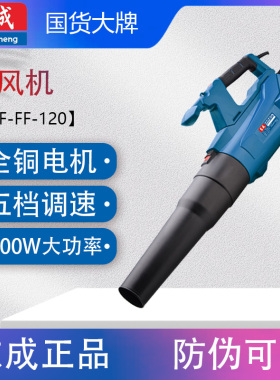 东成Q1F-FF-120手提式大功率暴风机220V工业吹风机电动吹树枝除尘