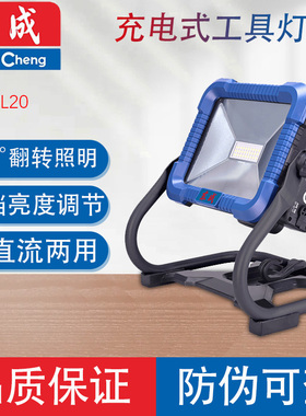 东成DCWL20工作灯超亮20V锂电充电式照明灯工具灯户外应急灯正品