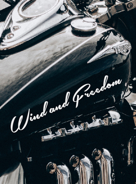 创意英文车贴风和自由个性文字贴纸摩托车油箱装饰贴电动车反光贴