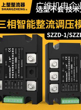 新品可开票对公隔离智能整流调压D-1三相SZZD-3全上海上整单相SZZ