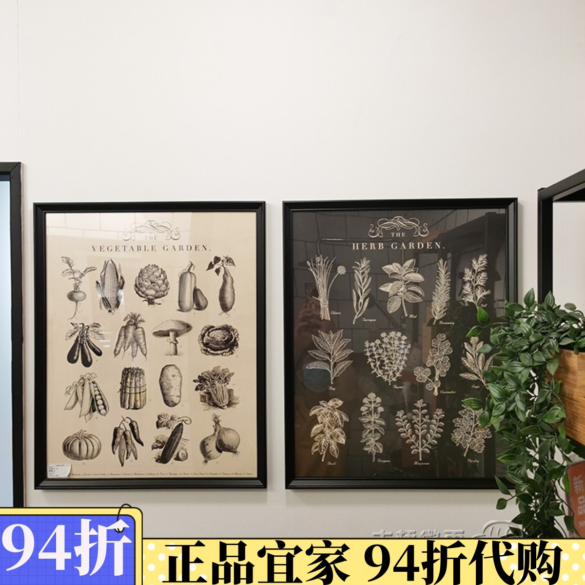 国内宜家代购IKEA克诺宾 画框带画 花园 40x50简约玄关客厅装饰画图片