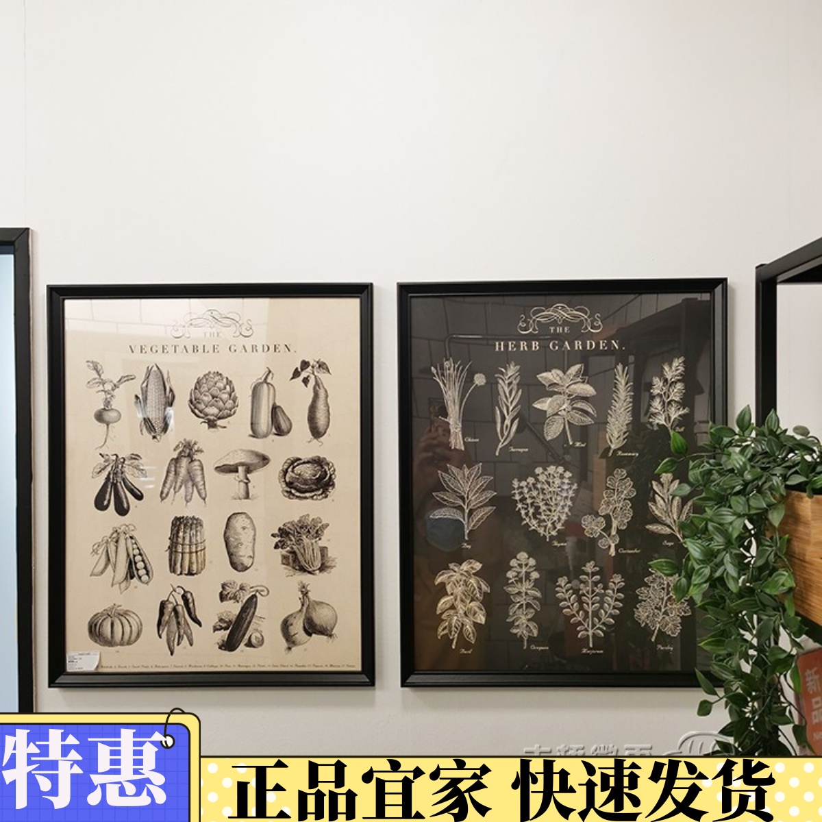 国内宜家代购IKEA克诺宾 画框带画 花园 40x50简约玄关客厅装饰画图片