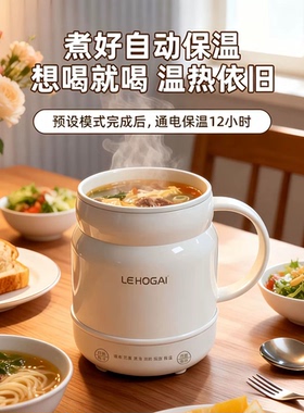 2026款多功能炖煮杯家用双人保温隔热防烫