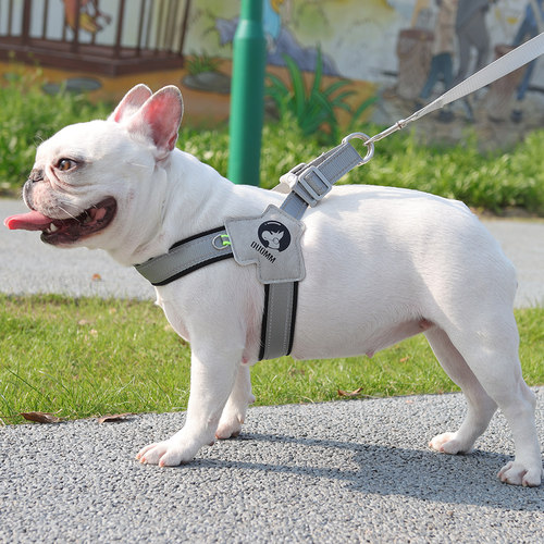 狗狗牵引绳法斗巴哥中小型犬遛狗绳子背心式胸背带柯基狗链脖项圈