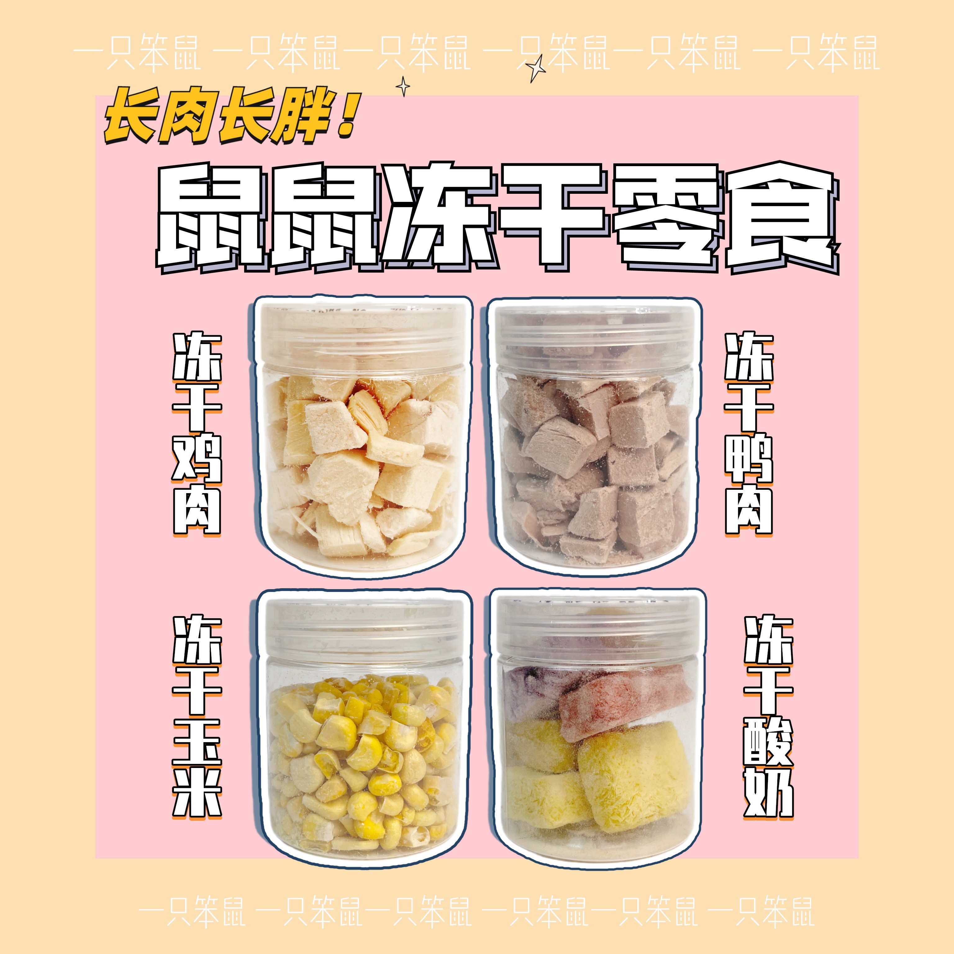 一只仓鼠金丝熊花枝鼠冻干鸡肉