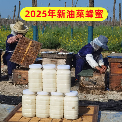 蜂蜜纯正天然野生农家自产油菜花蜂蜜结晶白蜜百花蜜大瓶正宗原蜜