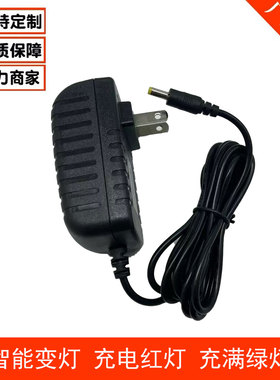 适用凌影R2000手持棒灯补光灯17V2A充电器M30RGBM33充电线16.8V2A