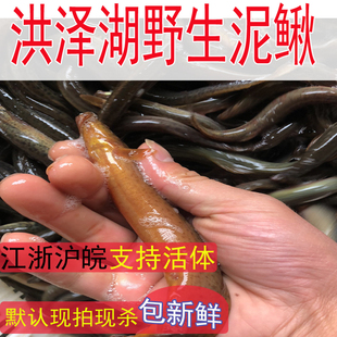 苏北泥鳅活体鲜活现杀新鲜土野泥鳅青鳅大泥鳅苗500g