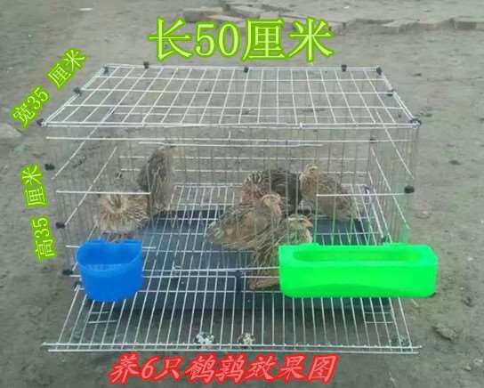 Quail cage Bold automatic Get out household Egg Quail cagein the Pet/Pet food and supplies , Birds and supplies , Birdcage  category - from Buy2taobao.com to provide professional Taobao agent buy service