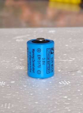 日月/SUNMOON ER13170电台雷达823824仪表专用3.6V锂亚电池783