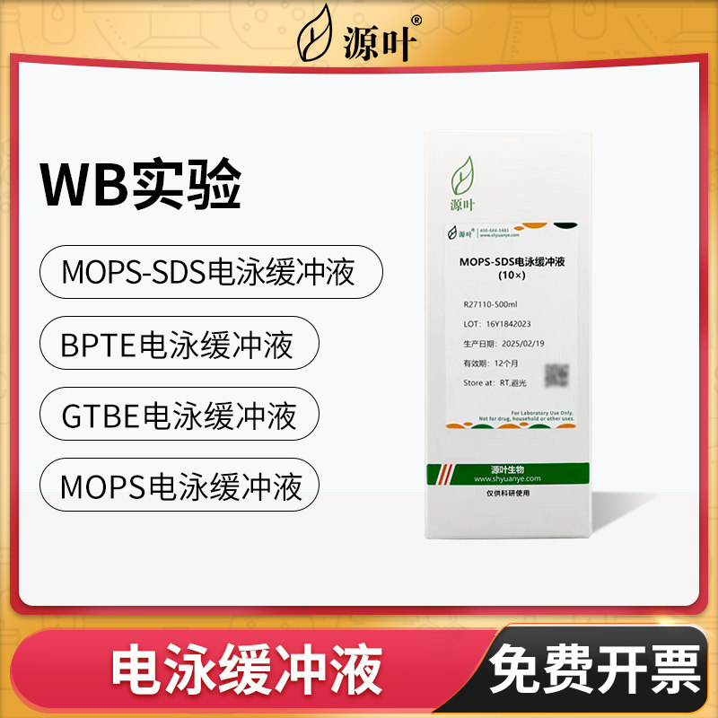 源叶MOPS电泳缓冲液BPTE即用型